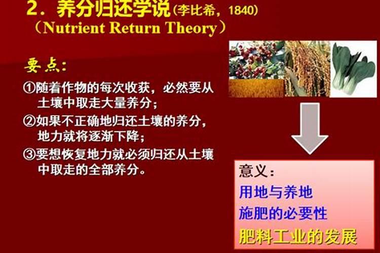 氮肥是指哪些