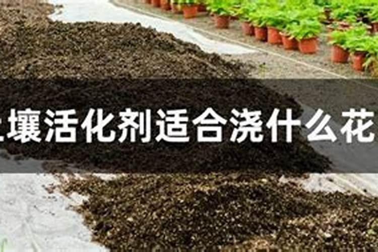矿源黄腐酸钾在葡萄上什么时候用好？多久冲施一次促果增产