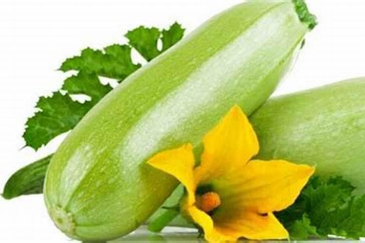 西葫芦的需肥特点和施肥原则是什么？
