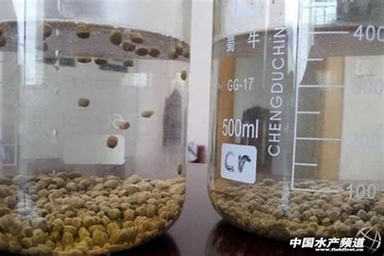 颗粒水溶肥是什么