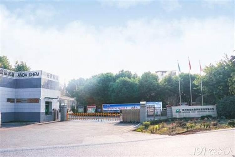 西红柿喷什么叶面肥最好