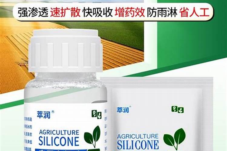 有机硅是什么,有机硅在农业的效果