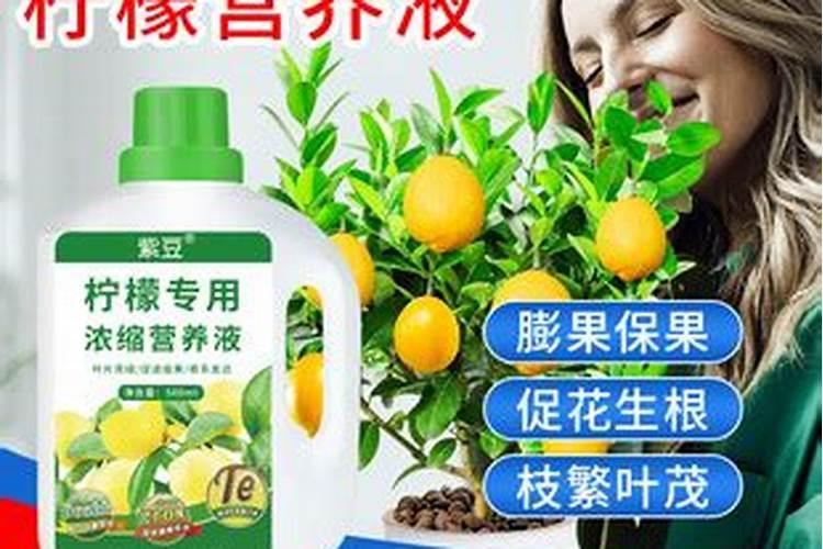 柠檬树底肥放什么肥好(底肥施用方法)