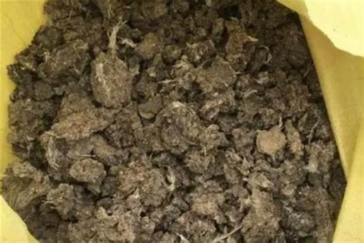 八哥的粪便可以当菜有机肥用吗？