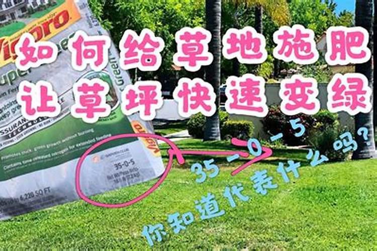 夏天草坪多久施肥 夏季草坪何时施肥最合适