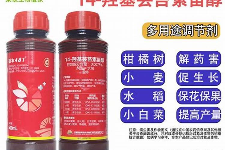芸苔素能促进生根吗