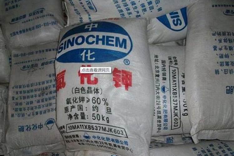 A股:严重低估的5只“供销社”龙头股,未来最具成长潜力(名单)百度知...