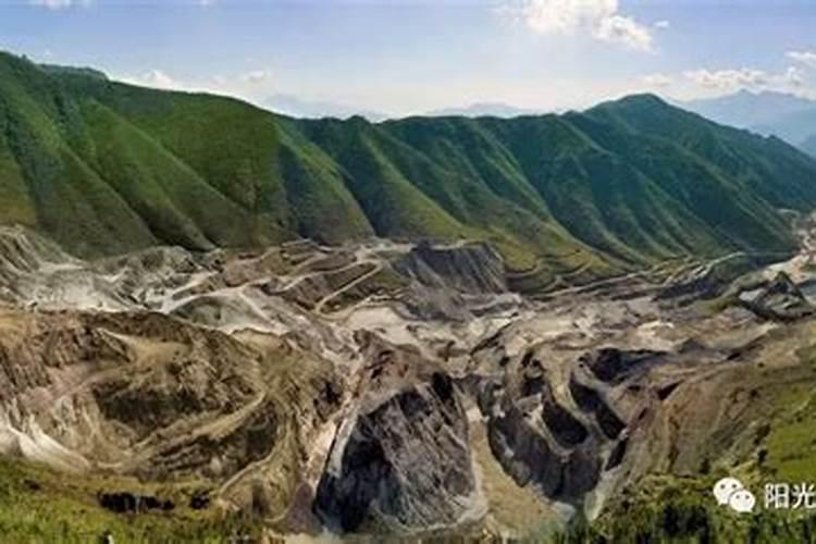 硅肥什么牌子最好