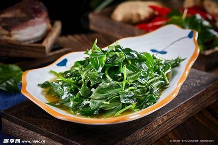2月份种什么菜