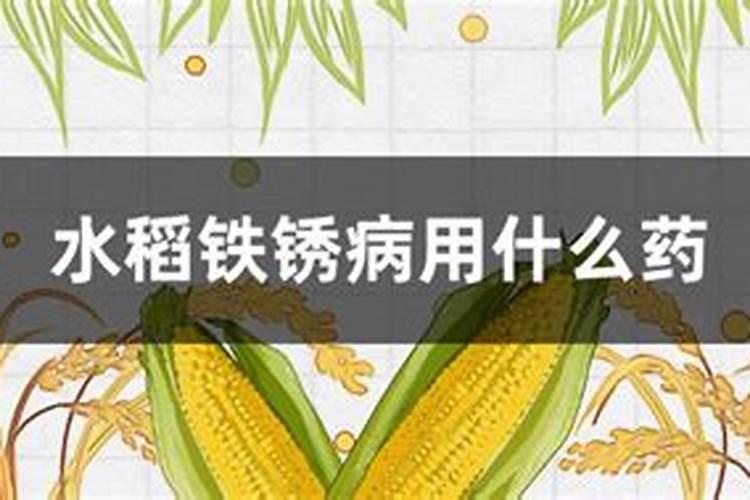防治锈病最好的杀菌剂