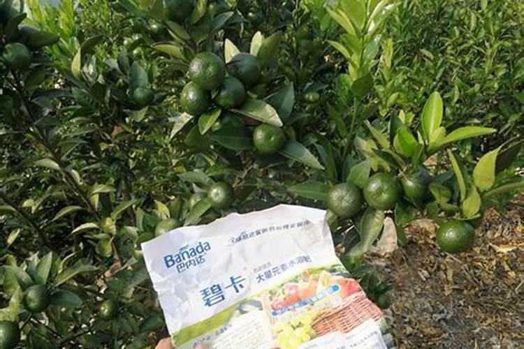 春季播种夏季秋季冬季干什么