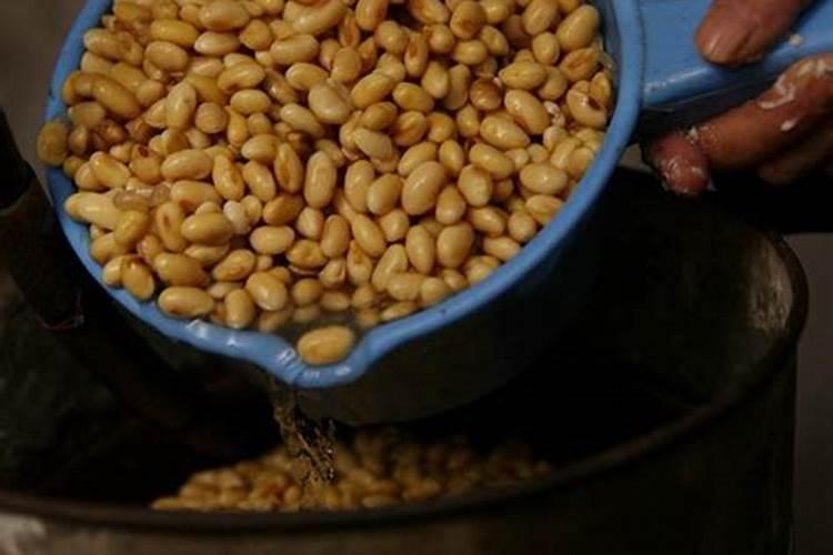 豆子煮熟后怎样发酵才能当肥料可以当花肥吗