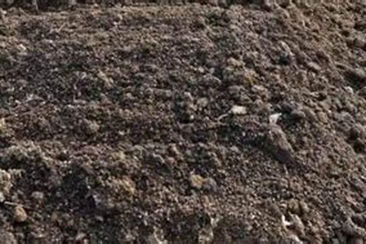 怎样正确地施用硼肥？
