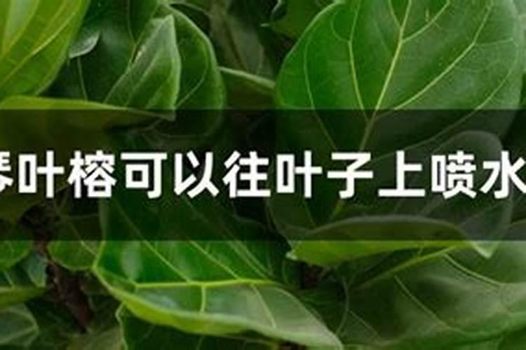 干旱天施肥方法及时间 干旱天施肥方法和时间