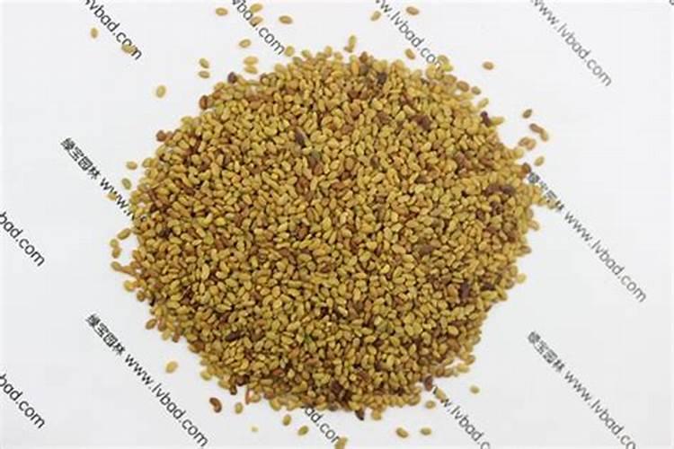 苜蓿底肥放什么肥好(底肥施用方法)