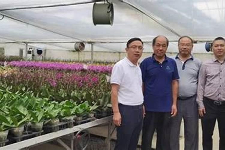 国内最好的水溶肥厂家？