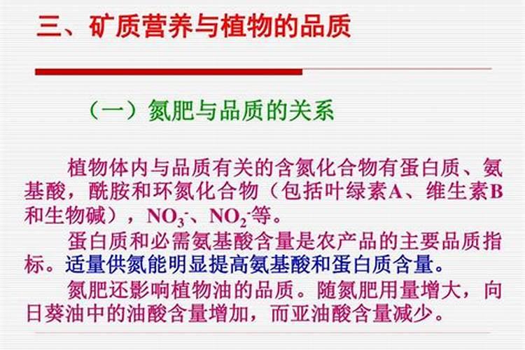 氮肥可以上哪些植物