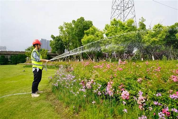 氨基酸水溶肥料的用法有哪些 氨基酸水溶肥使用禁忌