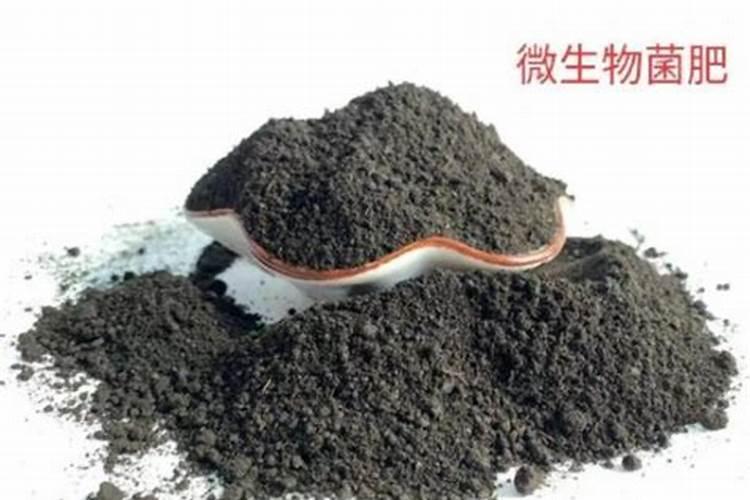过磷酸钙肥料的作用与功效,为什么不能和石灰一起使用