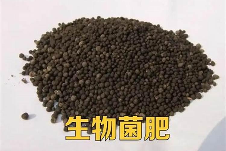 菌肥施肥有什么技巧