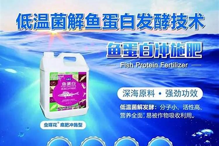 鱼蛋白肥料的功效与作用 鱼蛋白肥料的功效与作用