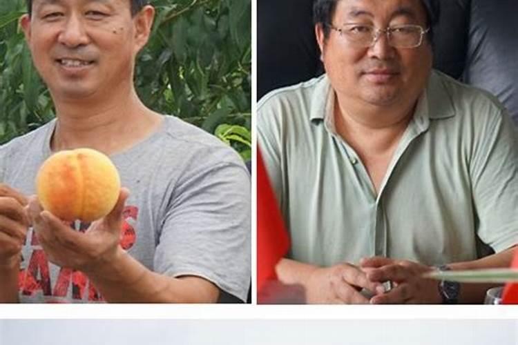 盛果期苹果园如何施肥