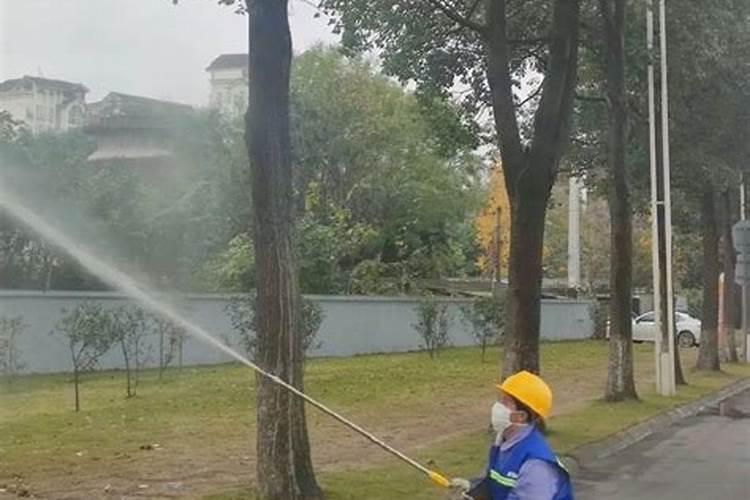 如何施用微量元素肥料才会更好？