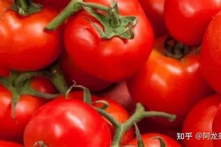 西红柿如何施肥,追施肥料要注意哪些问题？