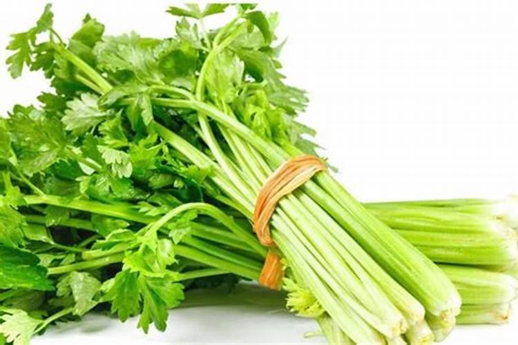 在冬季时该如何管理芹菜呢？冬季的芹菜需要施肥吗？