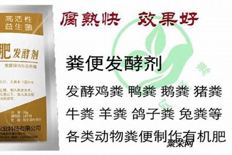 烂菜叶子可以做肥料吗