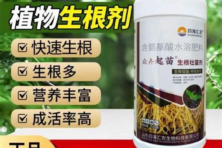 雨后水溶肥可以穴施？