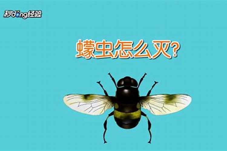 家庭肥料如何灭虫