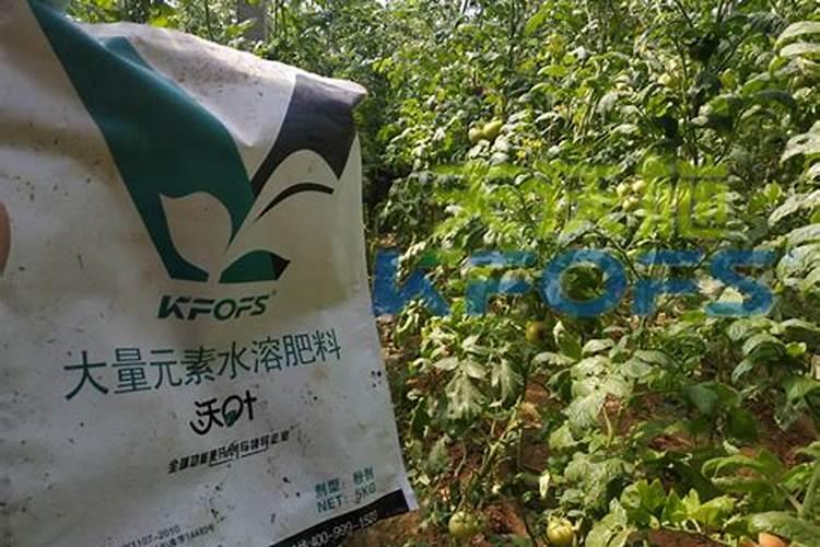 脐橙幼树如何管理生长快 可以施加钾肥吗