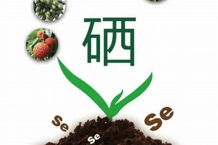 国家对硒缺乏地区有什么措施