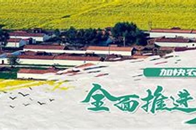 化肥哪里可以批发