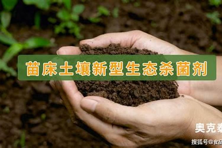 水稻苗床喷瑞苗清后用不用洗苗
