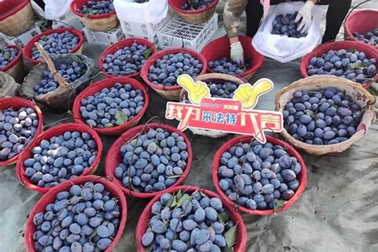 信阳禾胜生物科技有限公司怎么样？