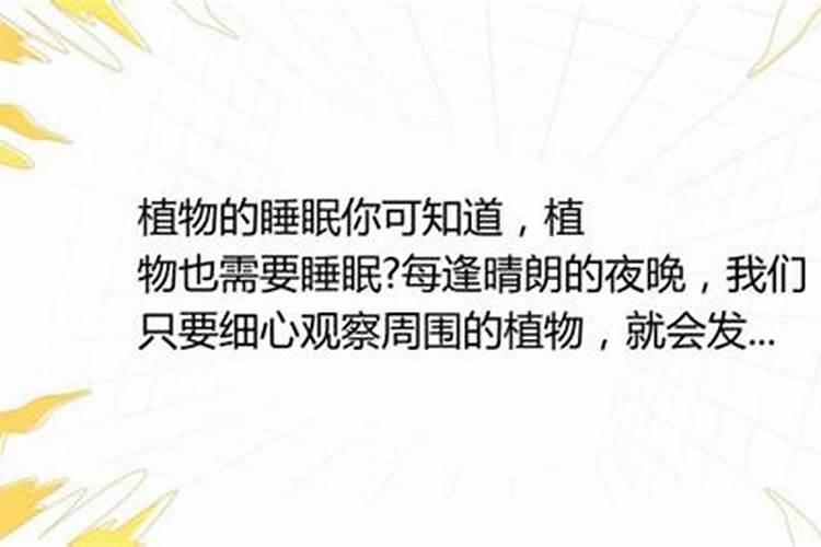 花生喷施硼肥的最佳时间