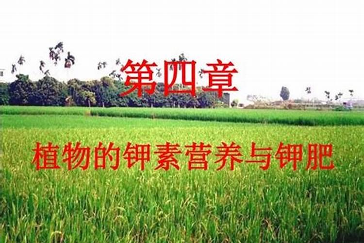 什么是有机和无机肥料,有机肥和无机肥的区别