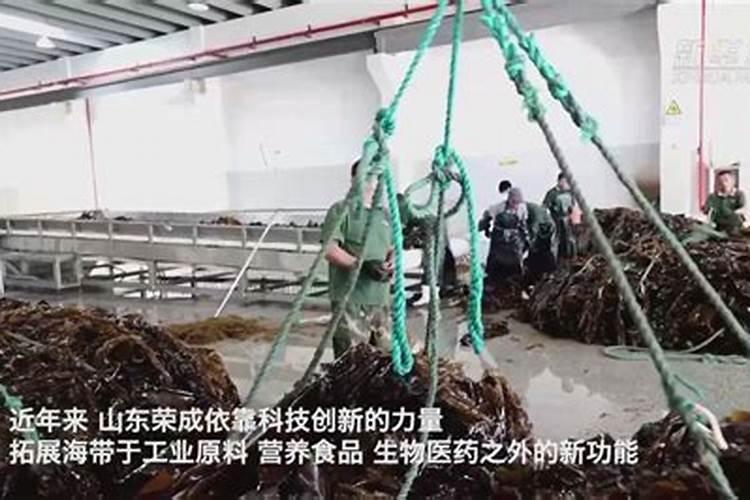 海藻肥都十年了,你还在被忽悠吗？一篇文章让你了解透