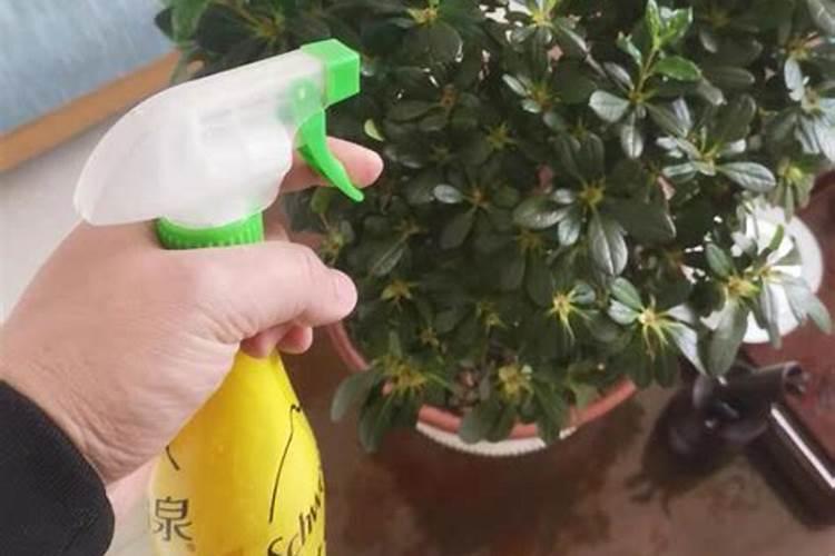土壤肥力过剩怎么办？
