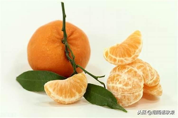 橘子的成年结果树施肥技术是什么？