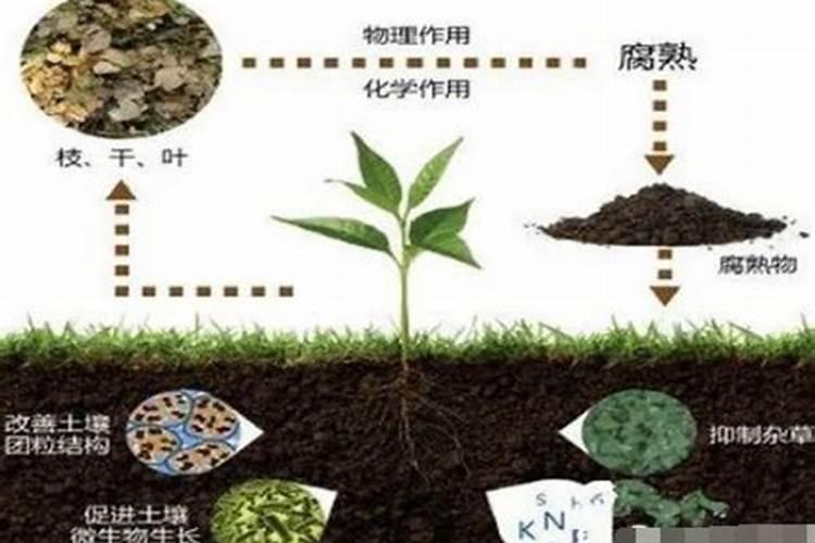 有机肥为什么能增加二氧化碳浓度