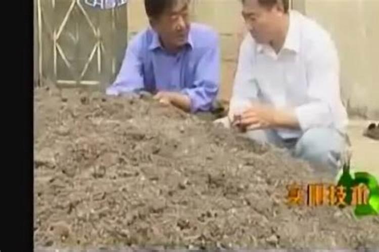什么季节可以种植菌菇
