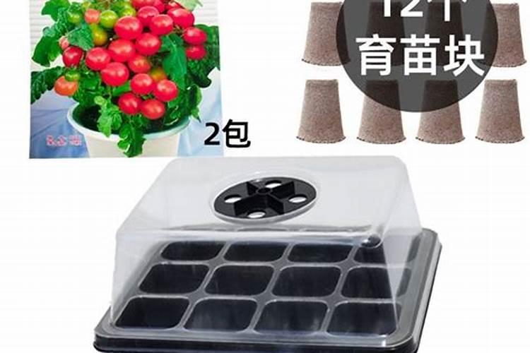 油菜用什么肥料最好