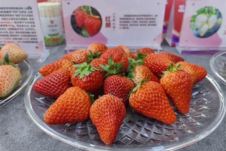 草莓果实总变软,有什么办法可以让果实硬一点？