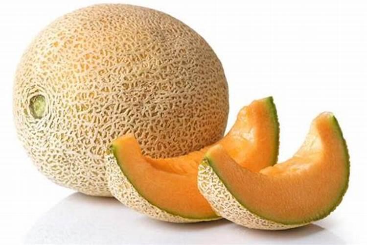 哈密瓜是早上授粉好还是下午授粉好？