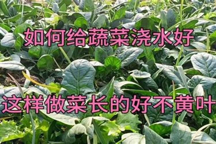 都说在农村卖化肥的利润大,一袋化肥能够赚多少呢？