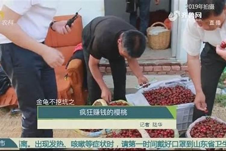 金龟不挖坑化肥每亩需要多少钱？