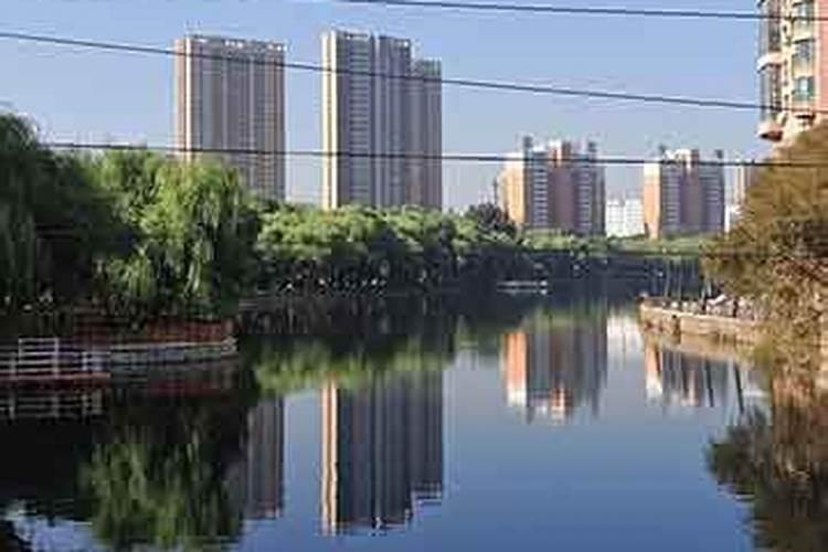青海柴达木地矿化工有限公司怎么样？